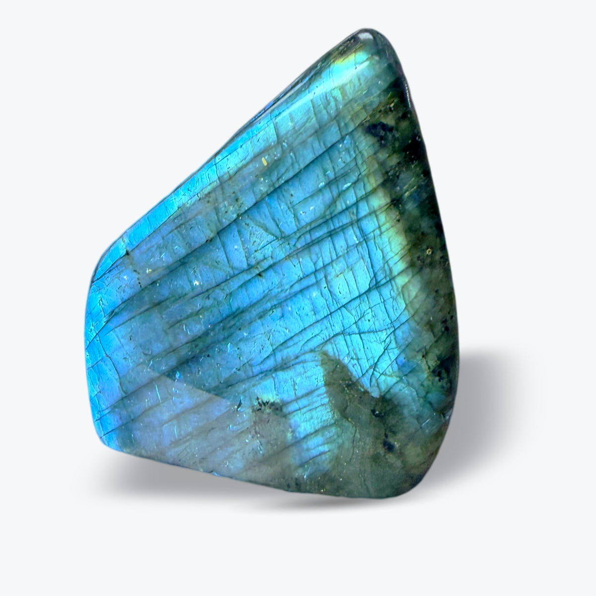Pierre Polie en Labradorite Bleue Naturelle – forme libre – 3 tailles – Madagascar - Pièce unique