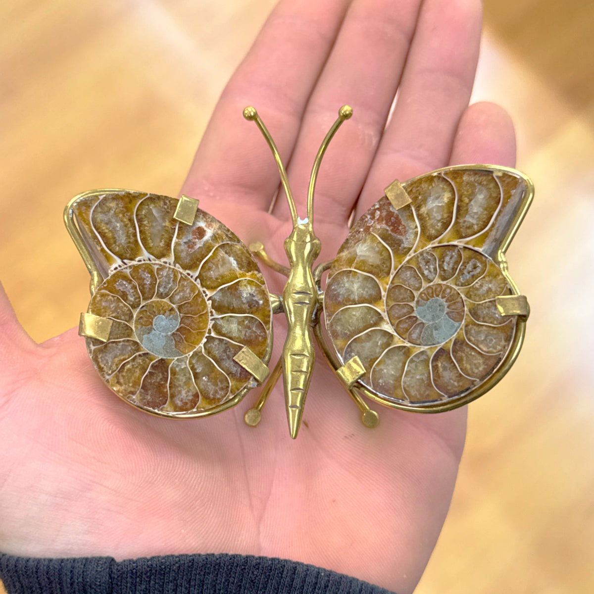 Papillon en Ammonite Naturelle polie, corps, Madagascar - Pièce unique | 68gr - 9x6,5cm