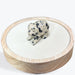 Animaux Jaspe Dalmatien