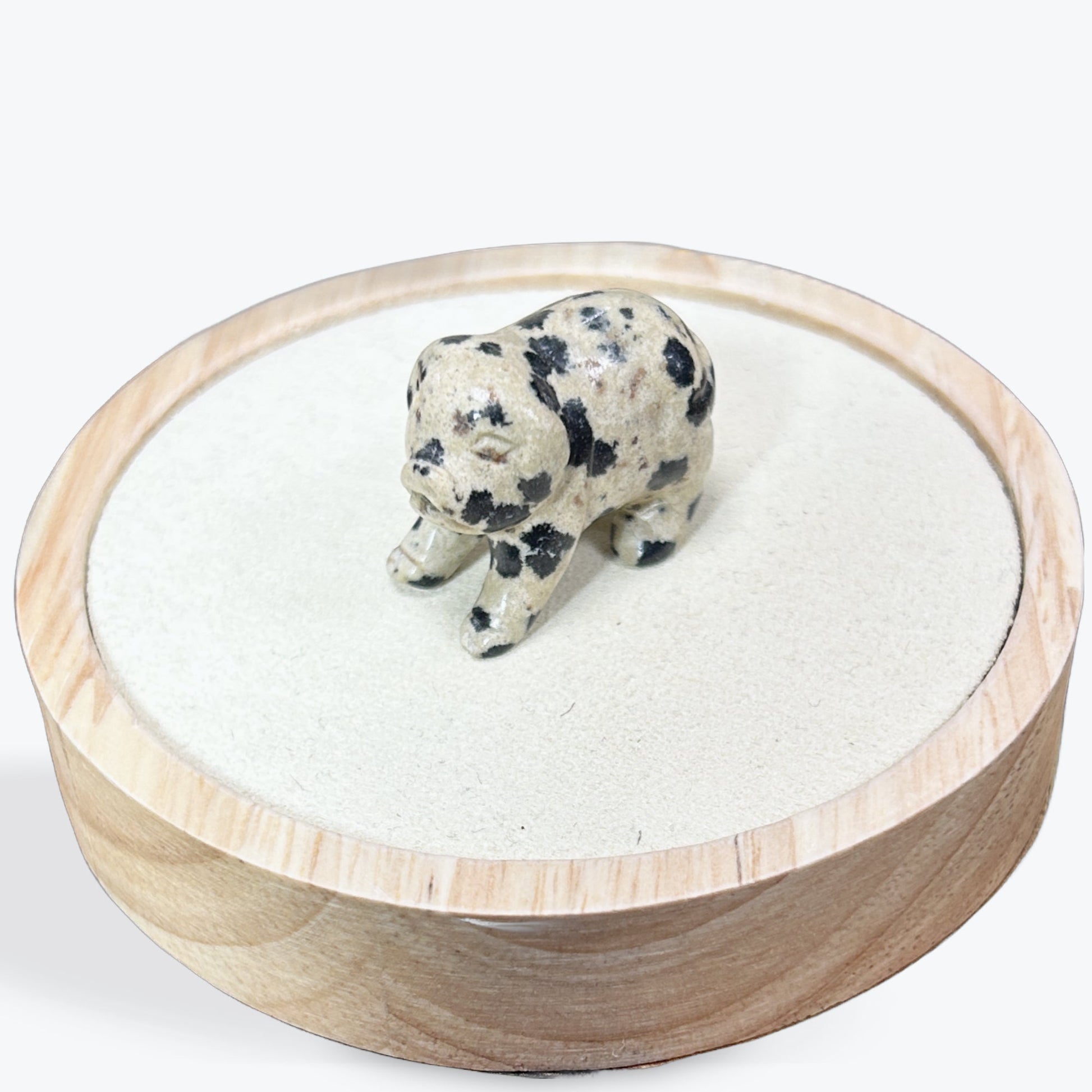 Animaux Jaspe Dalmatien