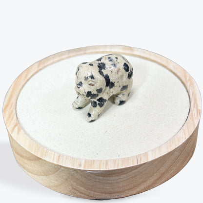 Animaux Jaspe Dalmatien