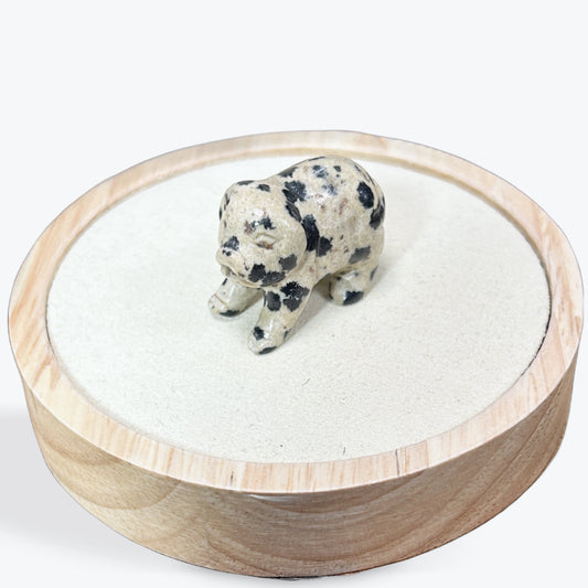Animaux Jaspe Dalmatien