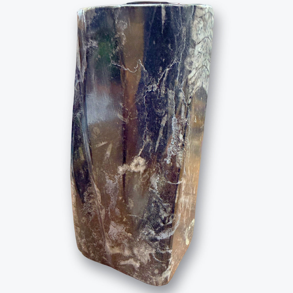 Pièce de collection en Orthocéras Naturel – 14x6 cm – 765 g – provenance Maroc - Pièce unique