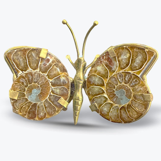 Papillon en Ammonite Naturelle polie, corps, Madagascar - Pièce unique | 68gr - 9x6,5cm