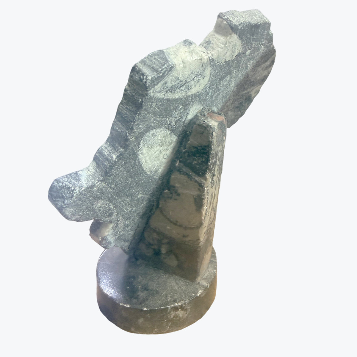 Pièces décoratives, continent, Africain, représentés en Orthocéras Naturel – 12x9cm