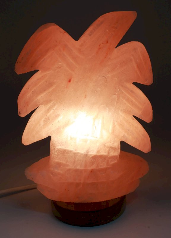 Lampe de Sel Himalaya Palmier 4KG