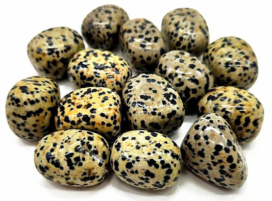 Jaspe Dalmatien 'A' roulées 200g