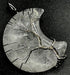 Pendentif Lune Arbre de Vie - Cristal de Roche 3.5cm