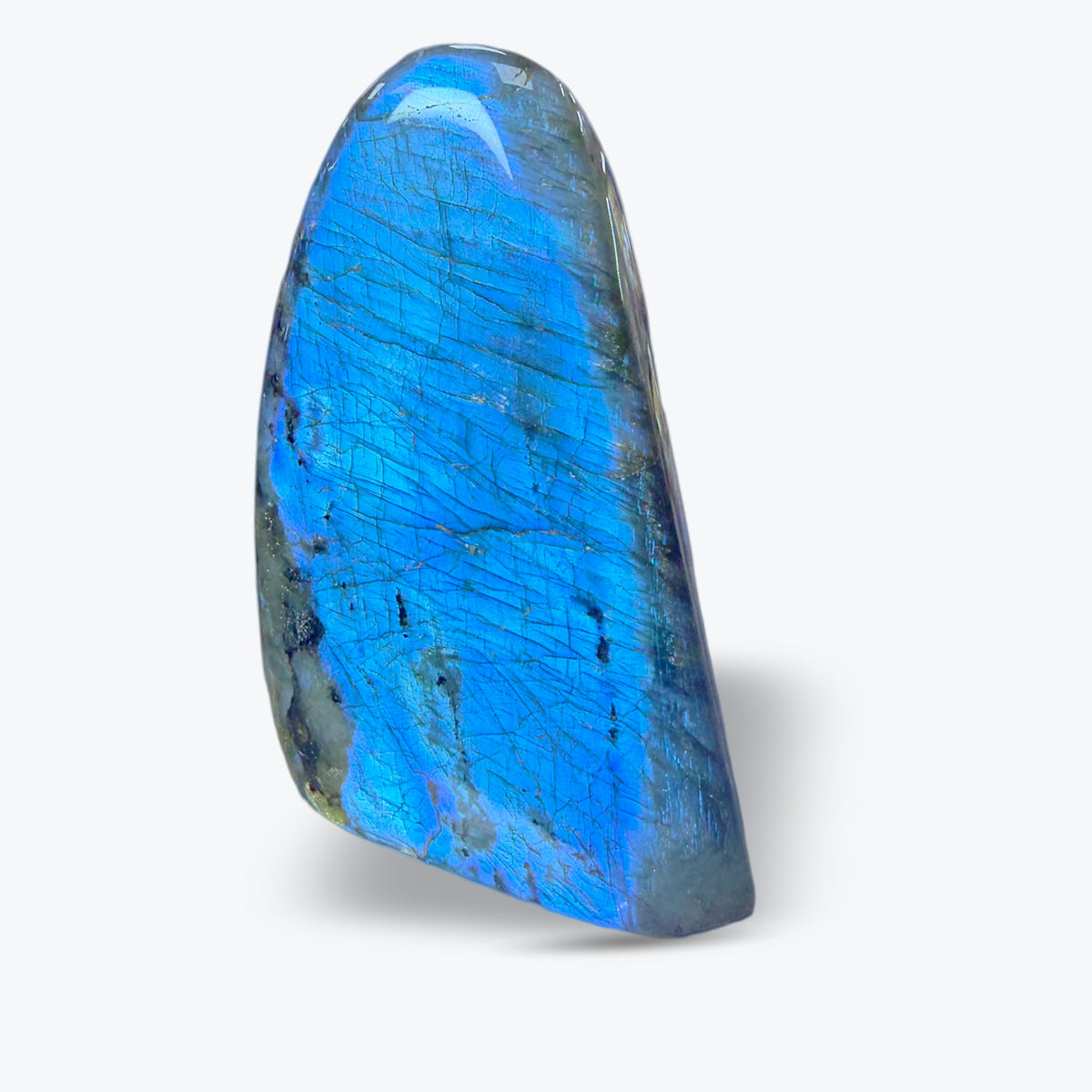 Pierre Polie en Labradorite Bleue Naturelle – forme libre – 3 tailles – Madagascar - Pièce unique