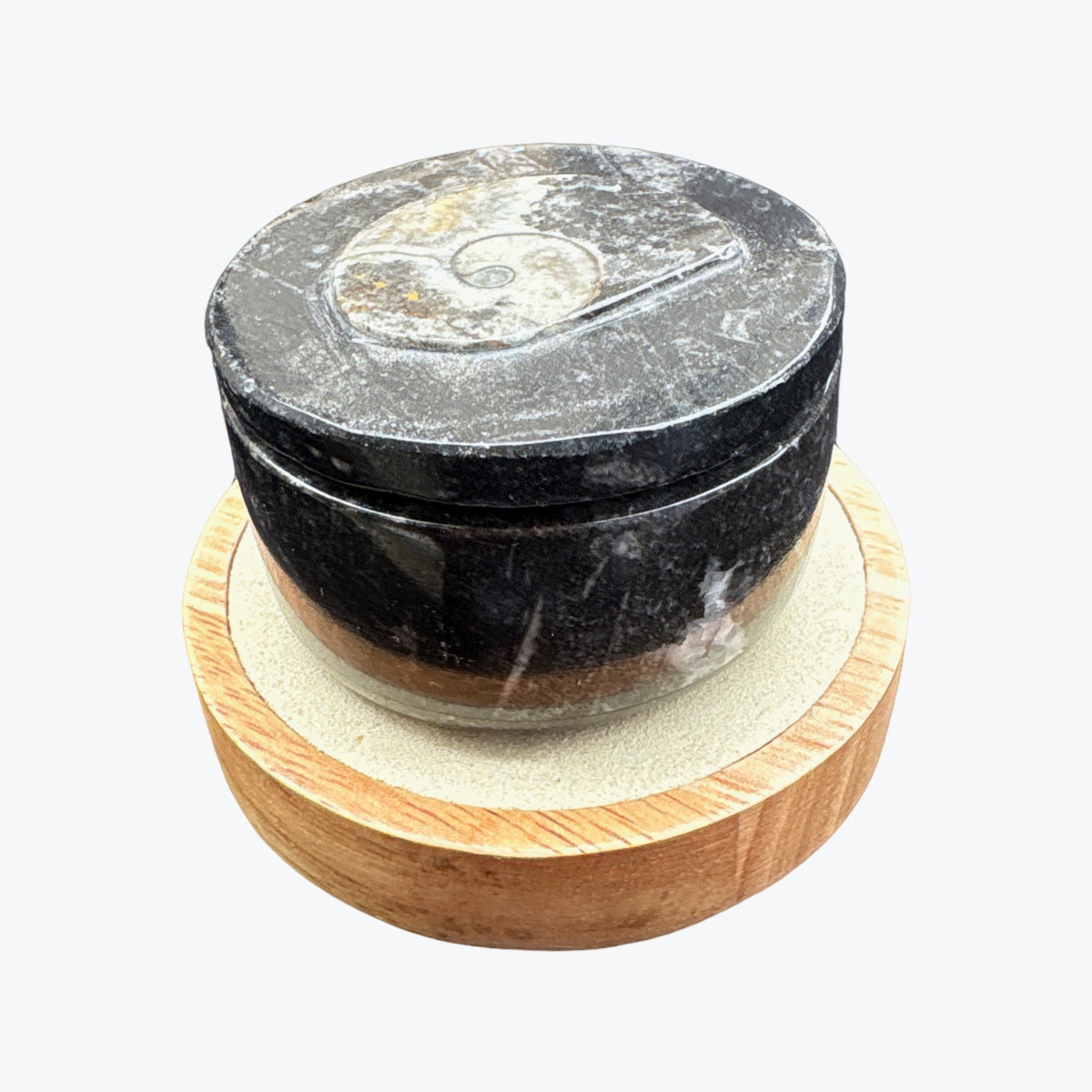 Boîte rangement en orthoceras fossiles marin