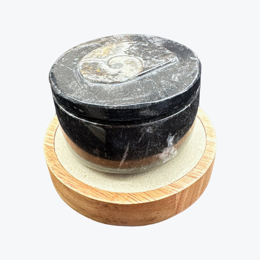 Boîte rangement en orthoceras fossiles marin