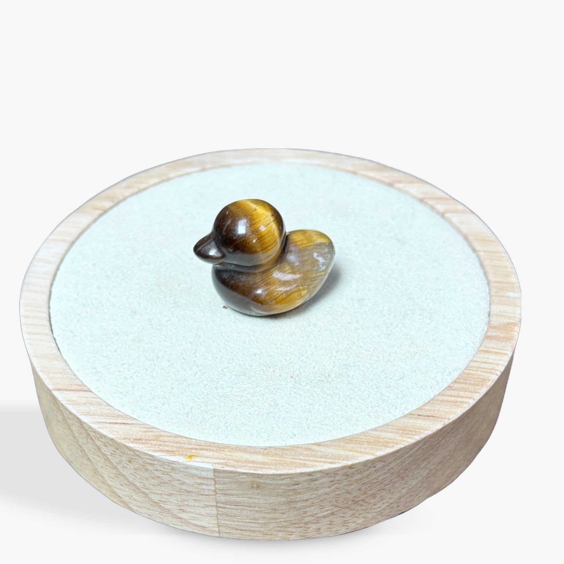 Canard Oeil de Tigre