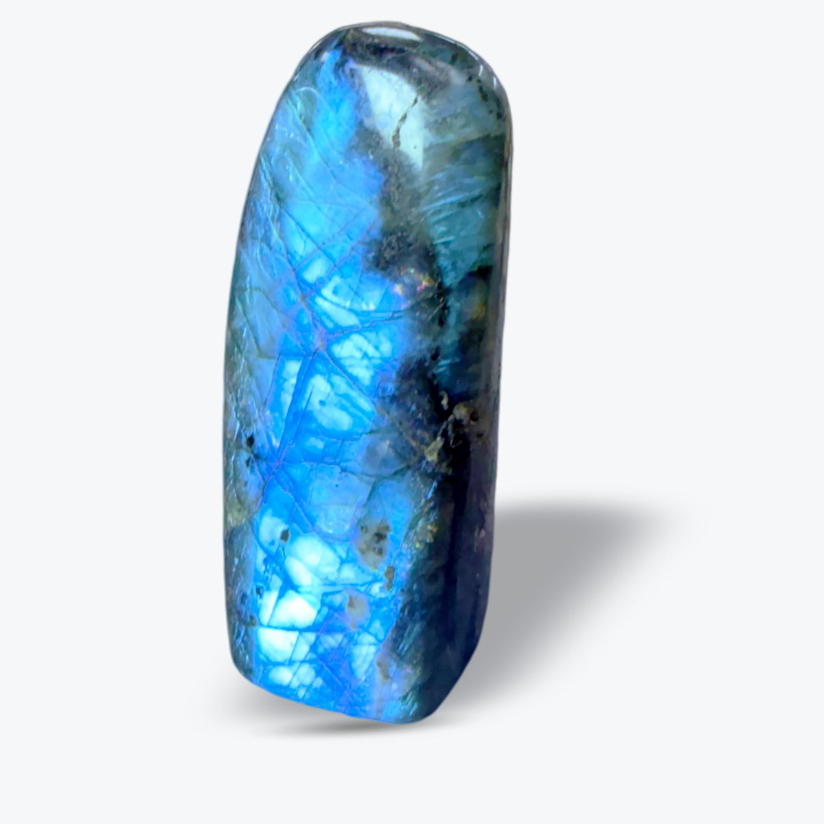 Pierre Polie en Labradorite Bleue Naturelle – forme libre – 3 tailles – Madagascar - Pièce unique