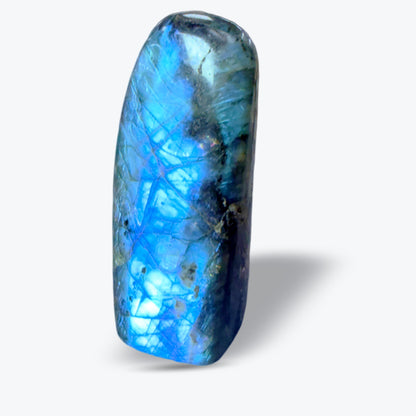 Pierre Polie en Labradorite Bleue Naturelle – forme libre – 3 tailles – Madagascar - Pièce unique