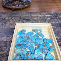 Petit - Turquoise Arizona