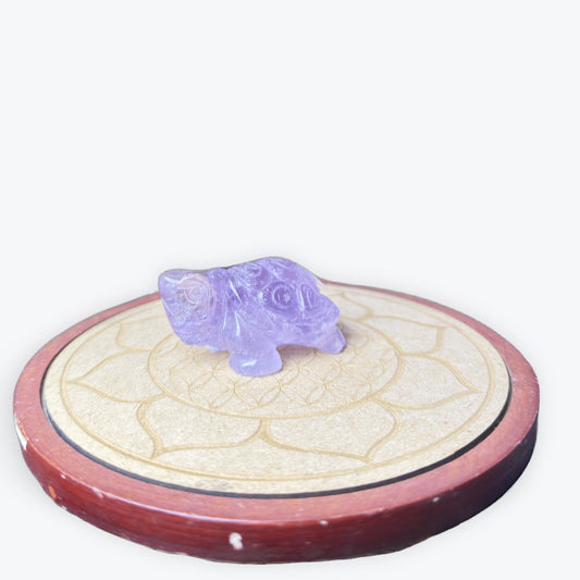 Tortue Améthyste | 80gr 6x4cm