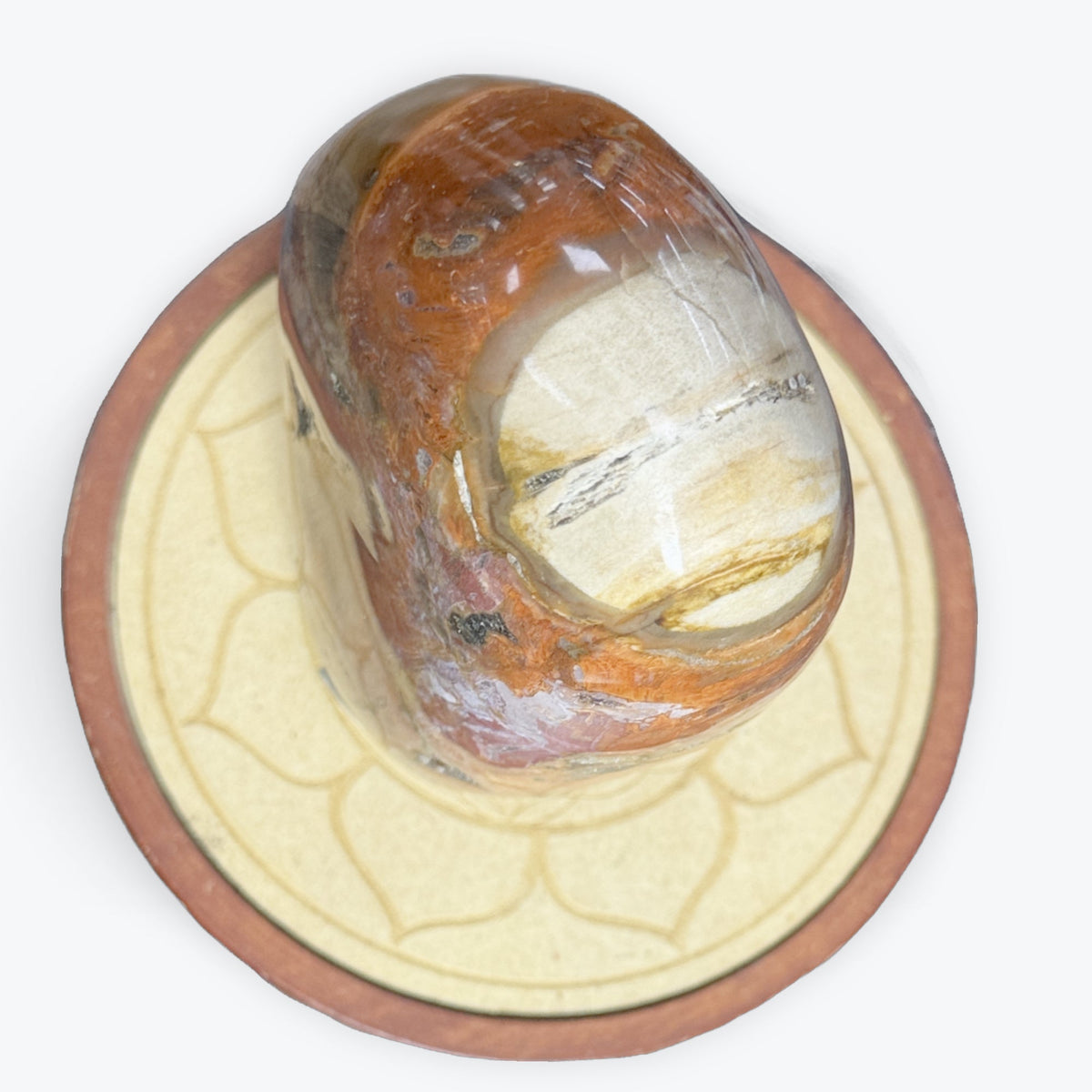 Bois pétrifiée de Madagascar | 1,2 kg - 14x9 cm