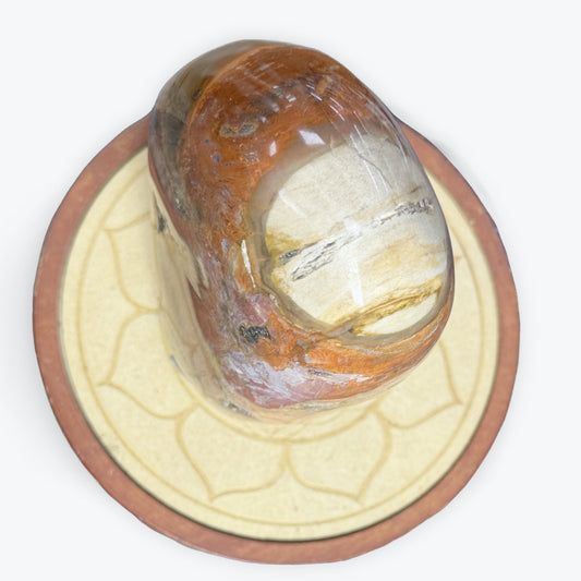 Bois pétrifiée de Madagascar | 1,2 kg - 14x9 cm