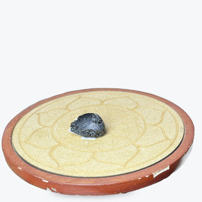 Tectite Brut