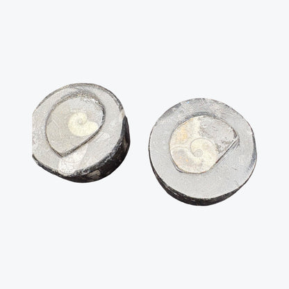 Boîte rangement en orthoceras fossiles marin