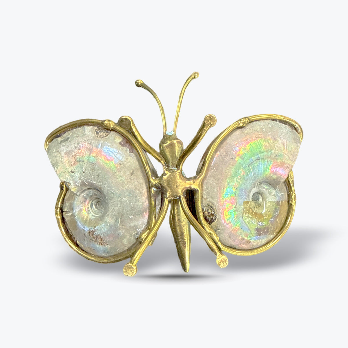 Papillon en Ammonite Naturelle polie, corps, Madagascar - Pièce unique | 68gr - 9x6,5cm