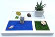 Jardin Zen Moderne & Plante 21cm