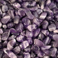 Pack of 24 Amethyst Banded M (B grade)