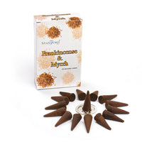 Encens Cônes Oliban - Spiritualité & Protection 15u – photo 2