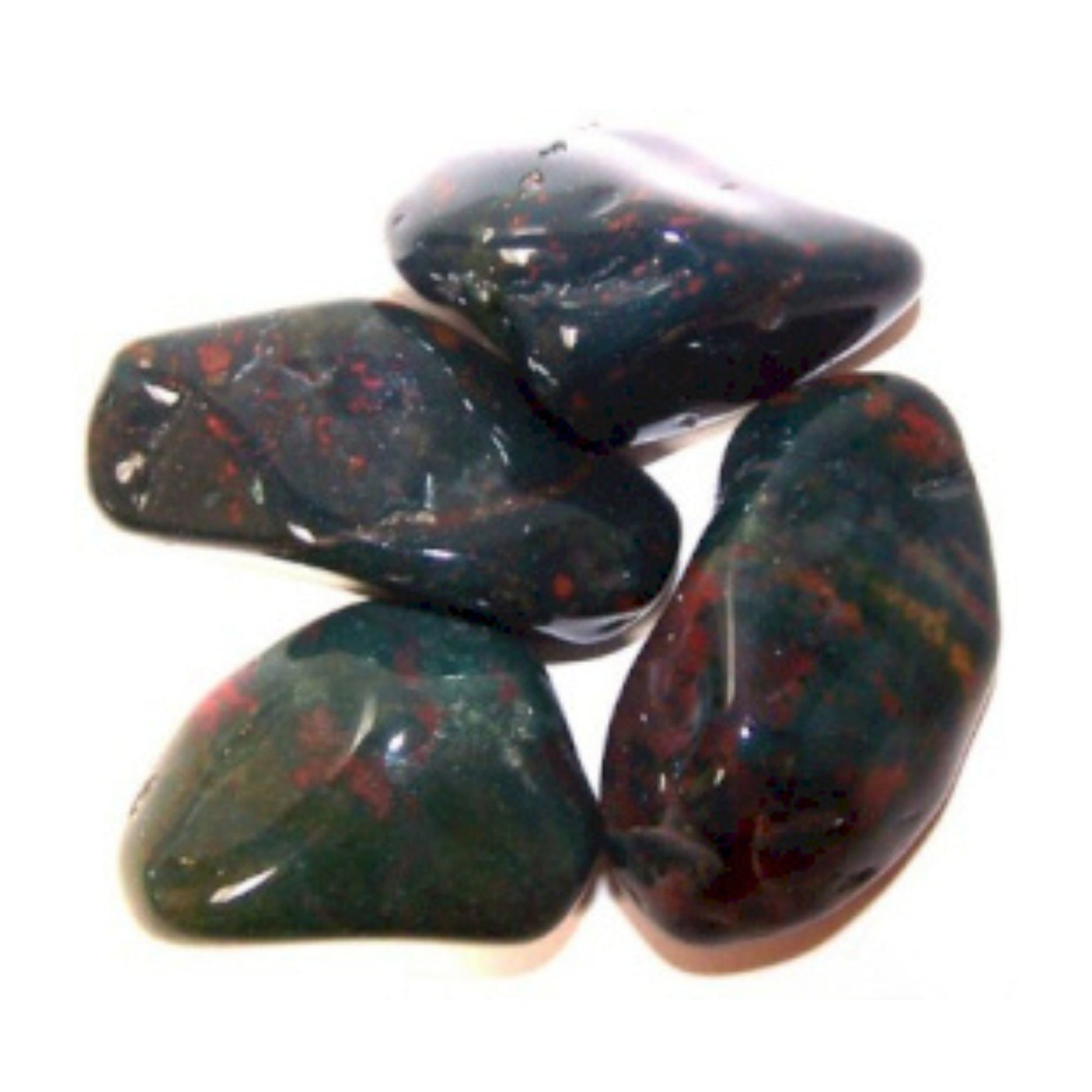 Pack of 24 Bloodstone L (B grade)
