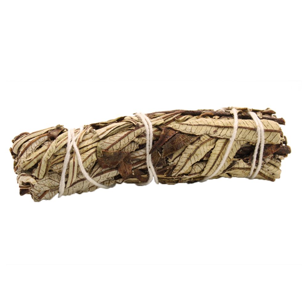 Fagot de feuilles de Yerba Santa séchées liées par un fil de coton blanc