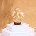 Mini Gemstone Trees On Wood Base - Rock Quartz (15 stones)