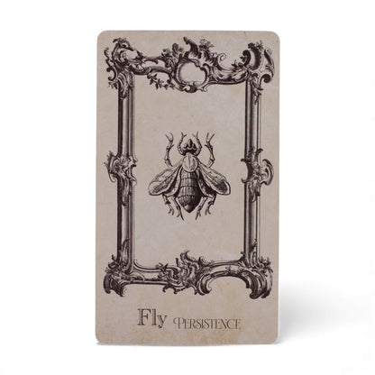 Oracle Spellbook - 40 Cartes Divinatoires Grimoire de Sorcière