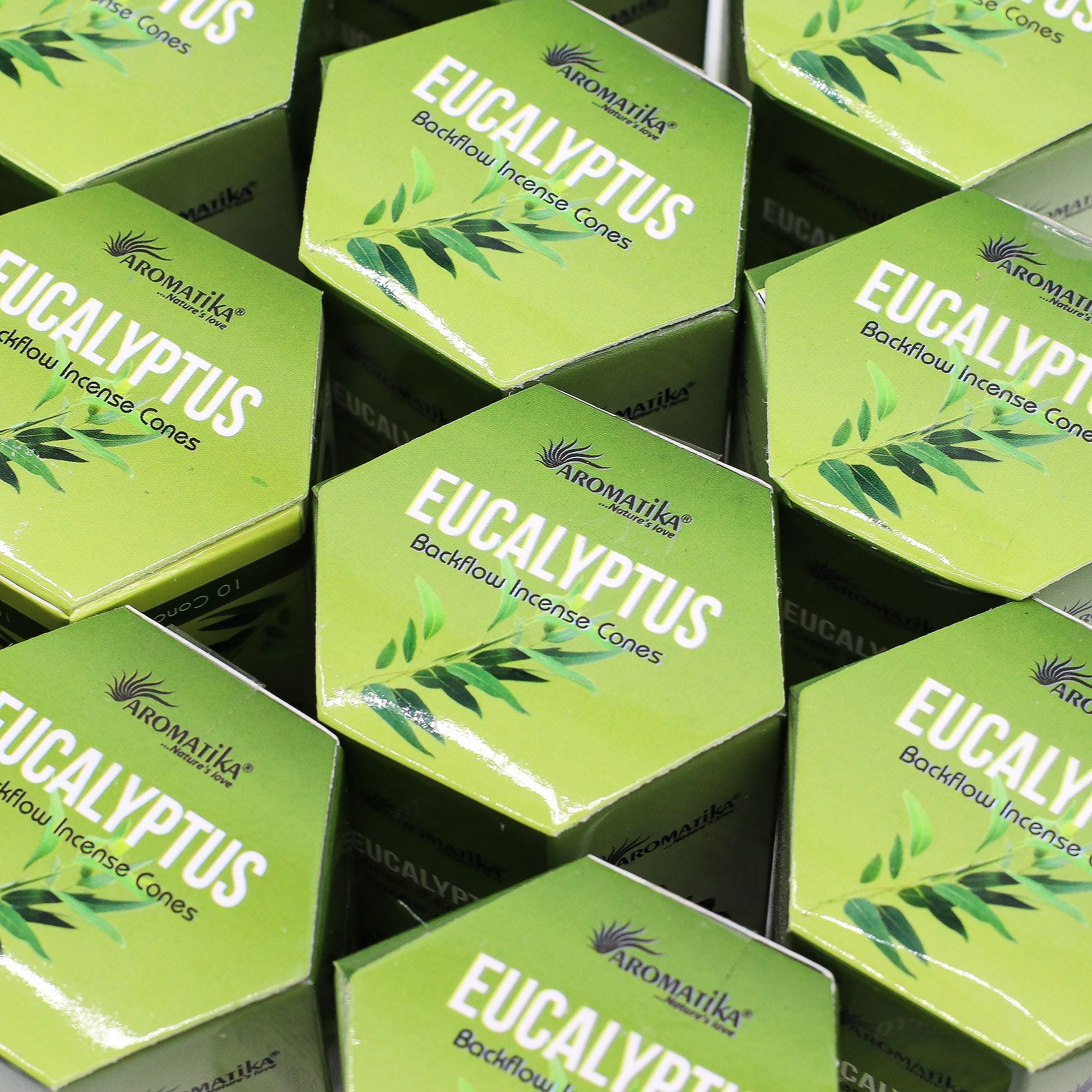 Masala Backflow Incense pack of 10 - Eucalyptus