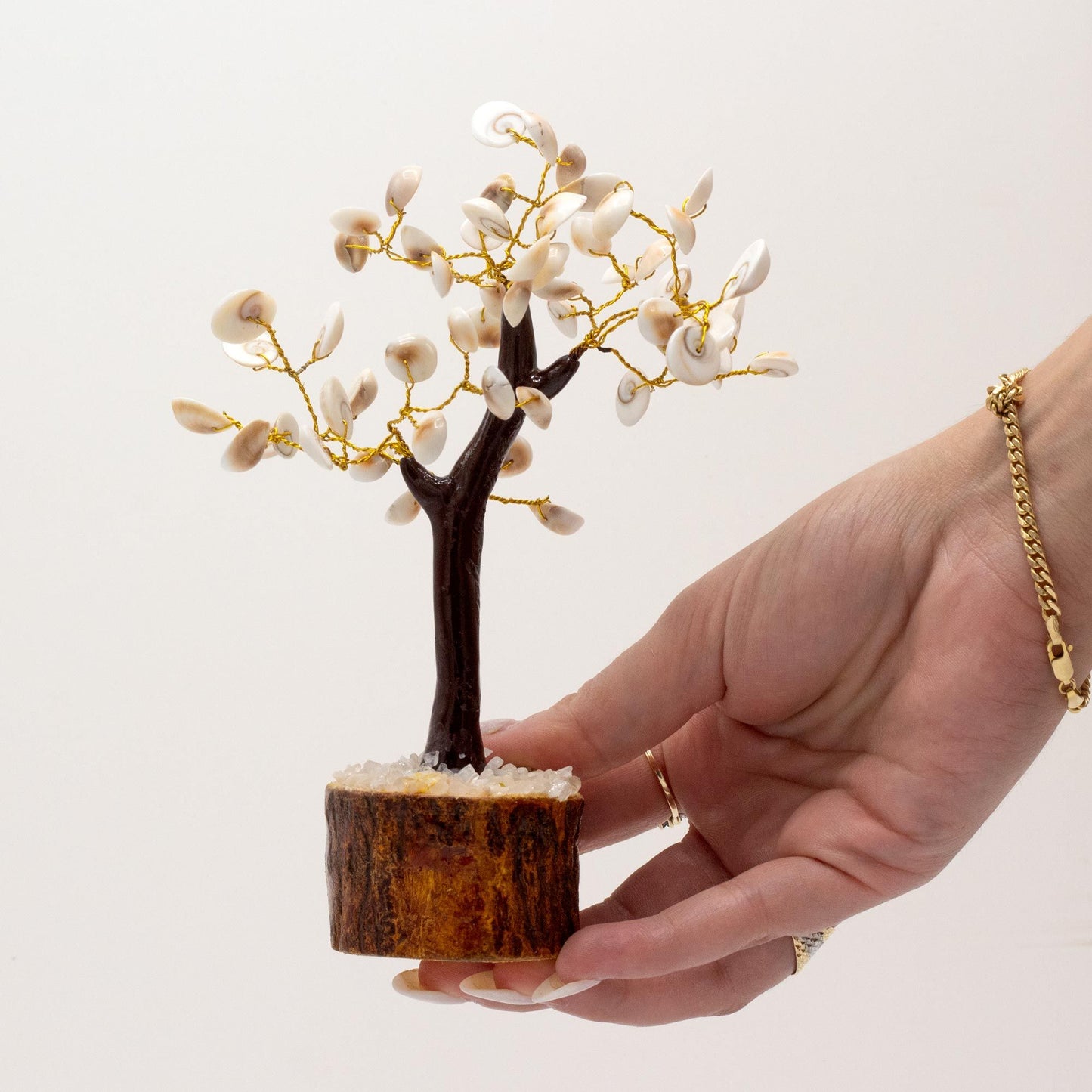 Arbre Gomati Chakra - photo 3