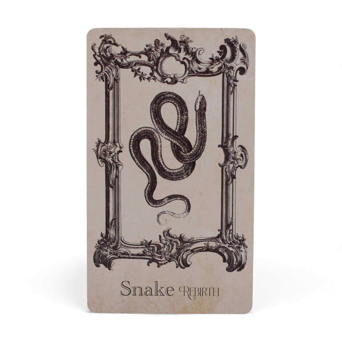 Oracle Spellbook - 40 Cartes Divinatoires Grimoire de Sorcière – photo 3