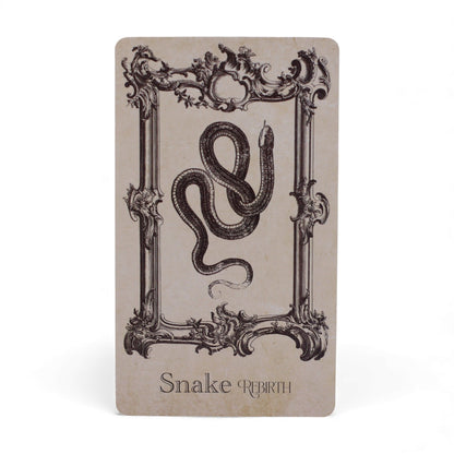 Oracle Spellbook - 40 Cartes Divinatoires Grimoire de Sorcière – photo 3