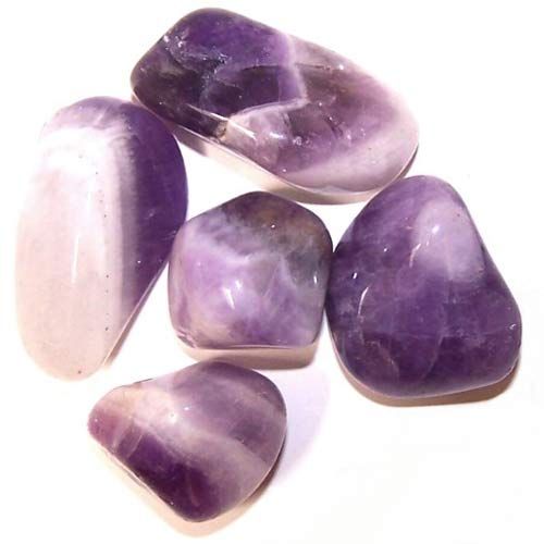 Pack of 24 Amethyst Banded M (B grade)