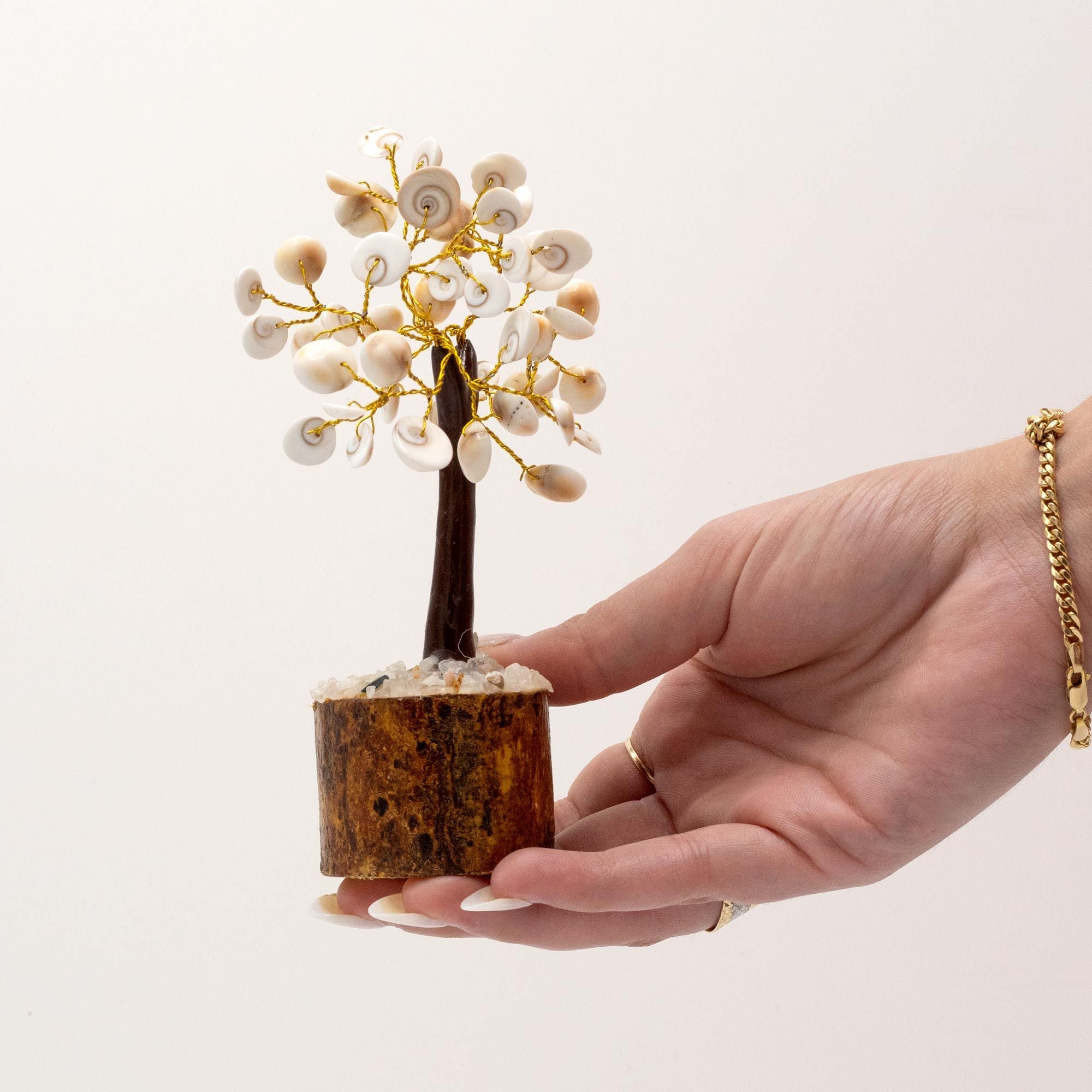 Moyen arbre Gomati Chakra (45 pierres)
