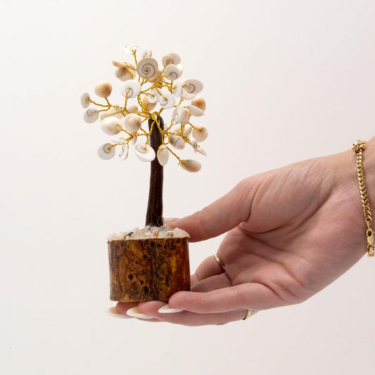 Moyen arbre Gomati Chakra (45 pierres)