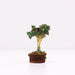 Mini Gemstone Trees On Wood Base - Green Aventurine (15 stones)