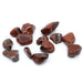 Pack of 24 L Tumble Stones - Petrified Wood L