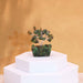 Mini Gemstone Trees On Orgonite Base - Green Aventurine (15 stones)