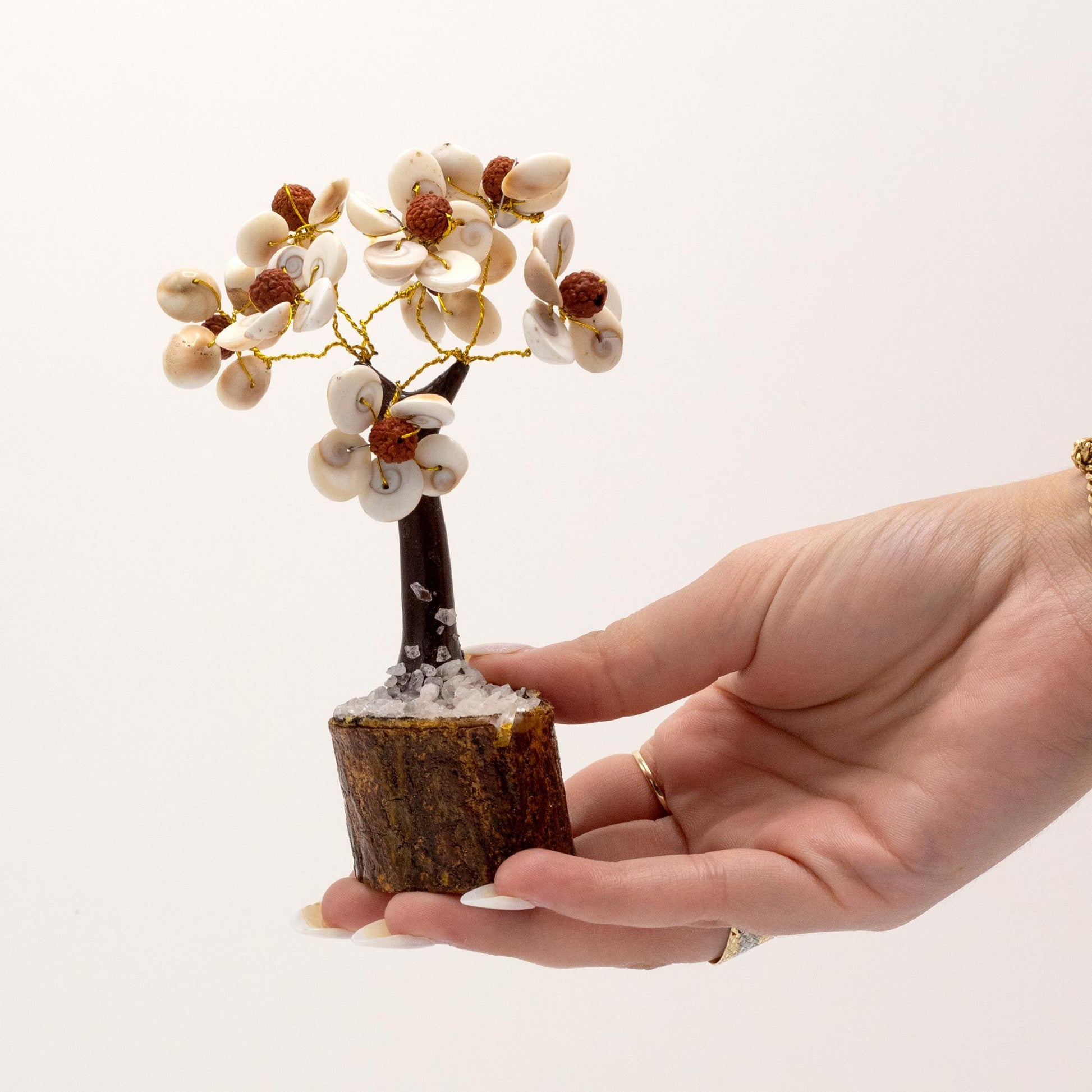 Arbre Gomati Chakra avec graines de Rudraksha - photo 3