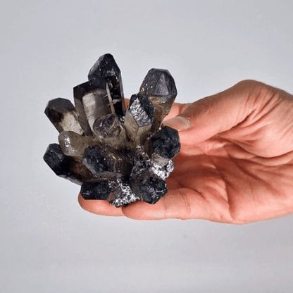Cluster de Quartz Fantôme - Quartz Fantôme Fumé (8 cm) - photo 3