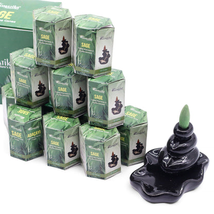 Encens Refoulant Sauge - Lot 10 Cônes Masala