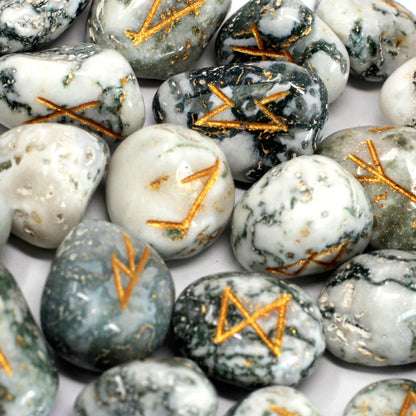 Ensemble de Runes en Agate Arborisée (Tree Agate) - Ancrage & Croissance
