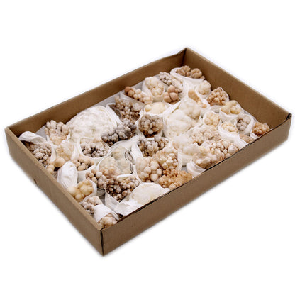 Calcite Fleur Naturelle - Lot 20 Spécimens Minéraux