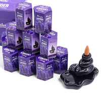 Masala Backflow Incense pack of 10 - Lavender