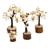Lot de 4 arbres Gomati Chakra