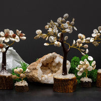 Lot de 4 arbres Gomati Chakra - photo 3